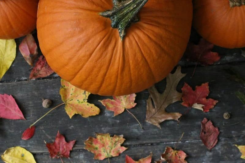 Holiday Fall leaves and pumpkins - 800px