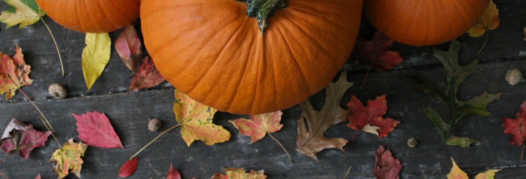 Fall leaves and pumpkins
